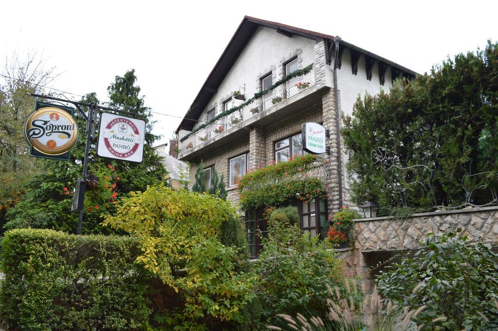 Bed and Breakfast Muskátli Panzió Győr Esterno foto