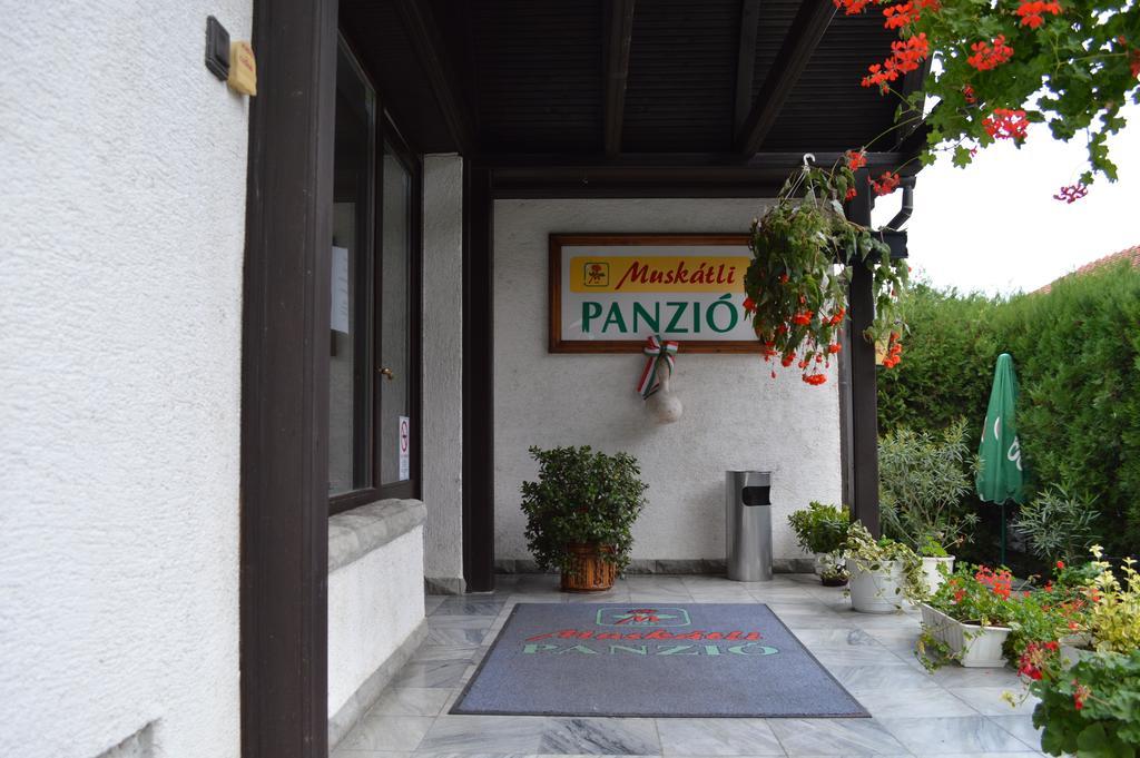 Bed and Breakfast Muskátli Panzió Győr Esterno foto