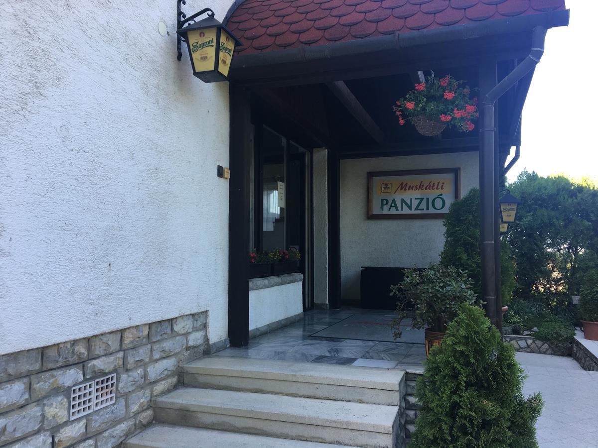 Bed and Breakfast Muskátli Panzió Győr Esterno foto